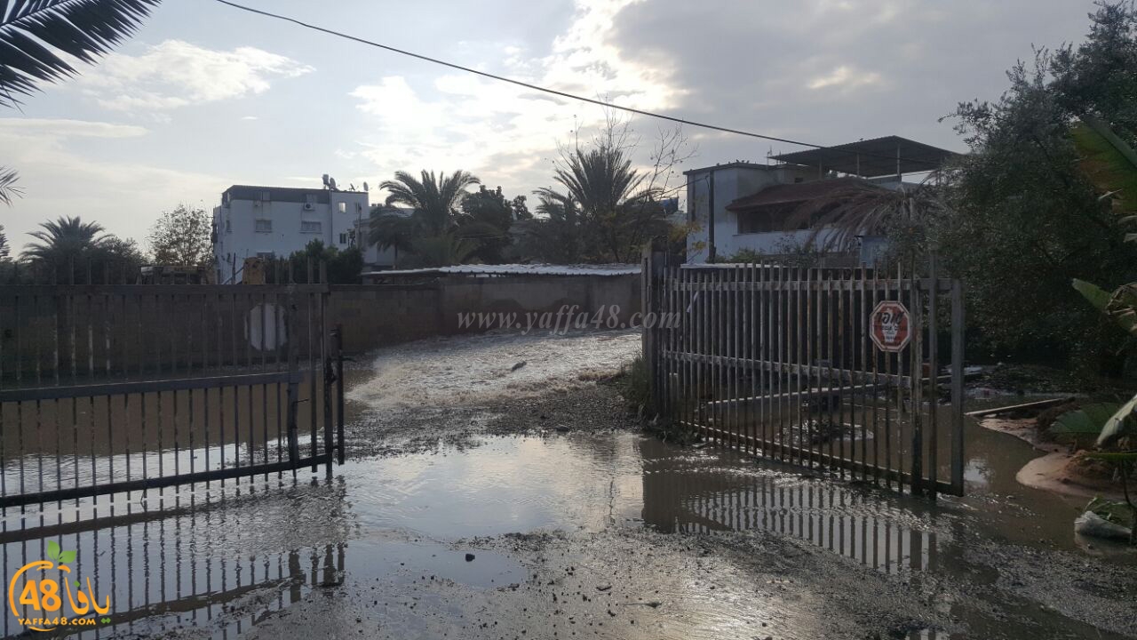 dhamasha ja3 (6).jpg